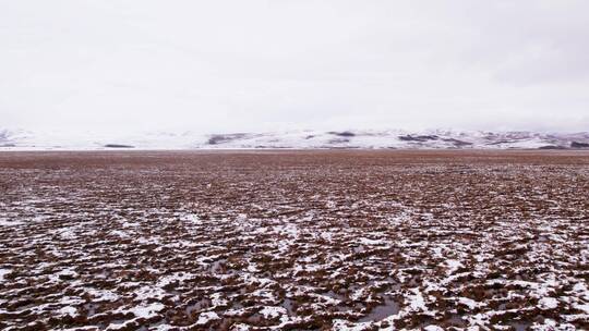 下雪的秋季若尔盖湿地草原航拍