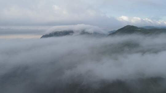 武功山高山草甸云海