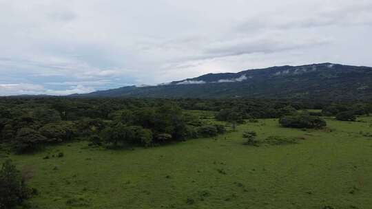 木景观山水