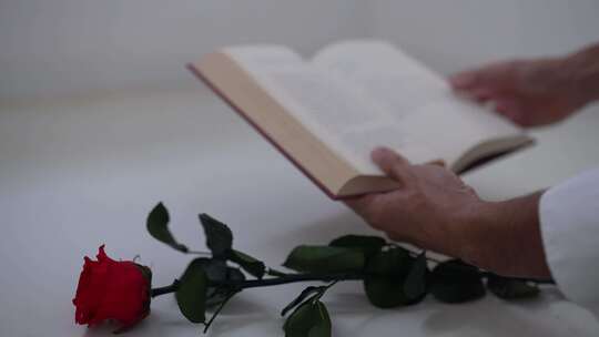 收到玫瑰花的女子在图书馆看书视频素材模板下载