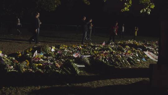 绿色公园哀悼者和花卉贡品的跟踪拍摄视频素材模板下载