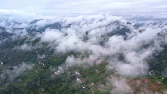 大雾清晨云雾大山云海森林自然云山脉山区