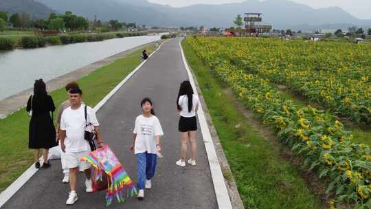 浙江瑞安曹村镇风光