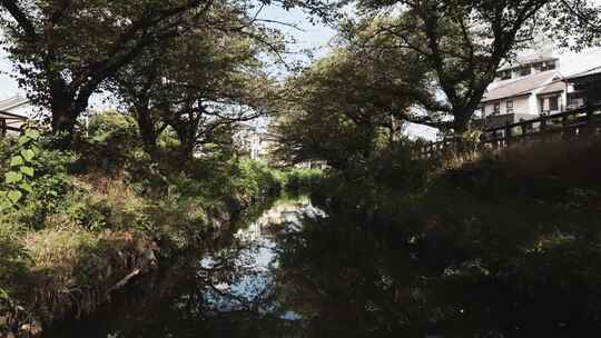 河流，溪流，树木，无人机