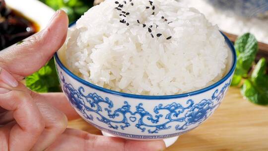 米饭素材