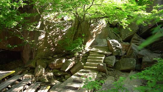 洛阳龙潭大峡谷旅游生态森林河流景点