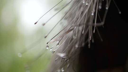 下雨天水滴滑落水珠雨水屋檐雨滴雨季水滴