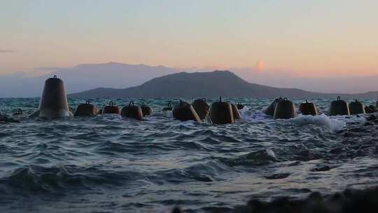 海浪撞击四足动物