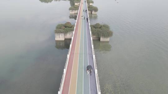 无锡贡湖湾湿地公园彩虹桥4K航拍原素材