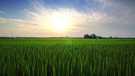 乡村田园风光与远山夕阳风景