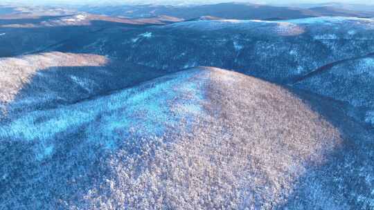 大兴安岭冬季雪色山林黎明风景