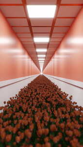 垂直视频穿过无尽的橙色走廊，郁金香在地板