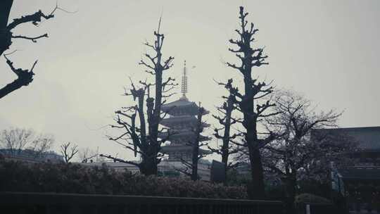 日本东京受欢迎的浅草神社和浅草寺与五层塔