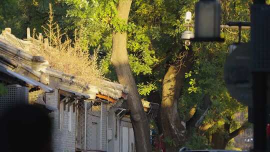 北京胡同民居夕阳秋天思绪情绪