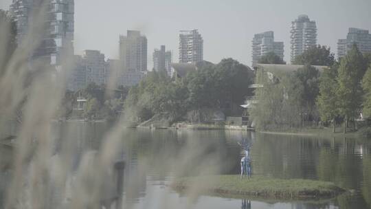 麓客岛麓湖别墅生态区