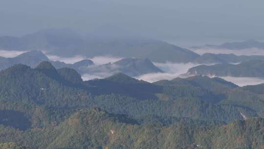 早晨4K航拍重庆黎坪森林公园