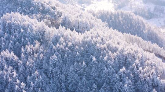 4k航拍恩施雪山雾凇风光