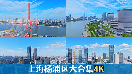 横版实时航拍上海杨浦区大合集4k
