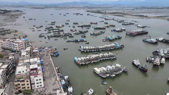 广东博贺渔港航拍视频素材模板下载