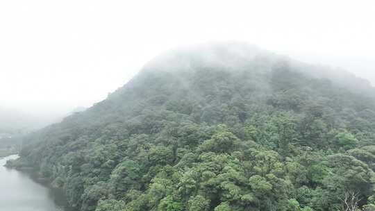 中国广州市从化区石门国家森林公园