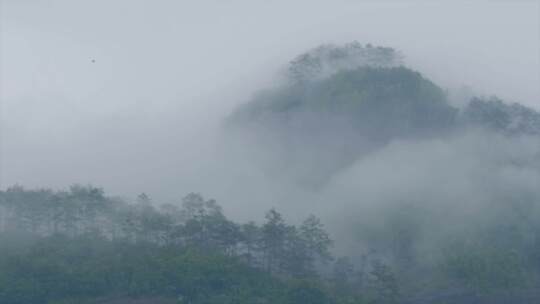 雨天茶山雾气笼罩穿过屋檐1080p