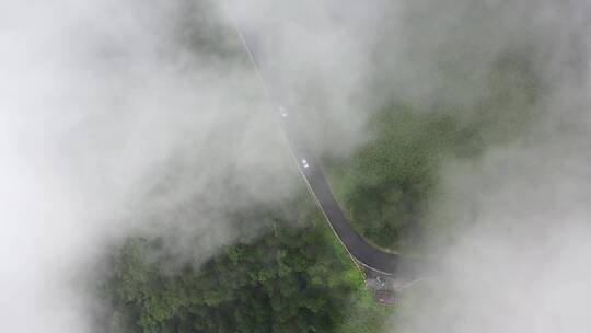 湖北神农架神农顶云雾缭绕航拍公路