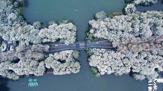 杭州西湖雪景 杨公堤隐秀桥