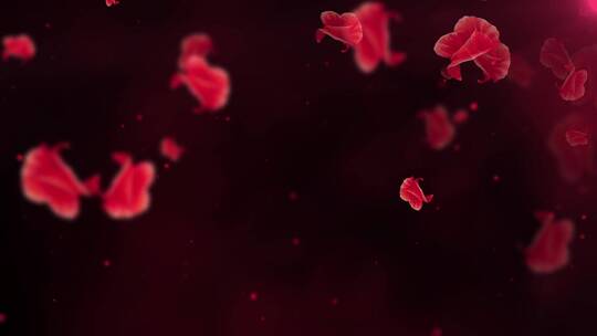 红色杜鹃花花朵飘飞LED唯美演绎背景视频素材模板下载