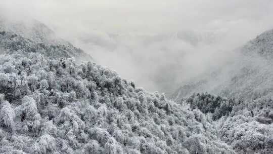 西岭雪山 雪景 大雪覆盖的自然风光 航拍