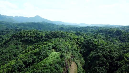 湖南衡阳花果山