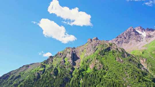 新疆伊犁夏塔高山森林风景航拍