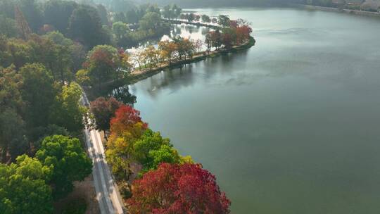 航拍南京中山陵前湖公园秋季景色