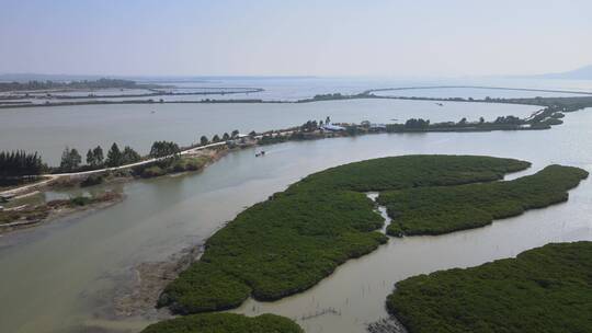 阳江程村