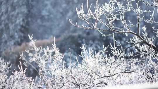 伏牛山冬季雪景雾凇