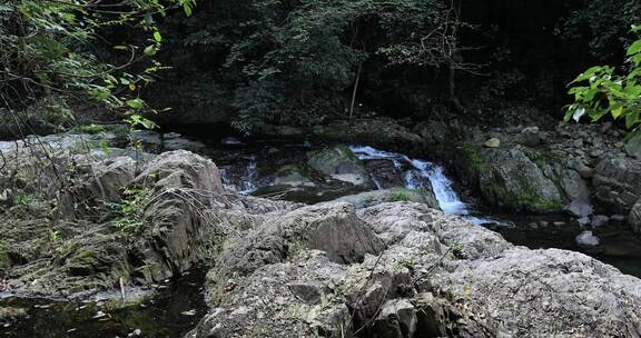 森林山涧山泉水溪流 浙东小九寨