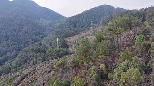 湖南怀化中坡山国家森林公园航拍