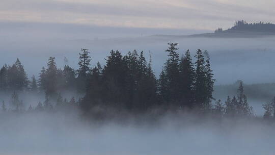 山林的薄雾景观