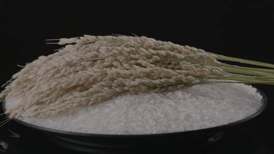 水稻稻米影棚旋转拍摄LOG视频素材