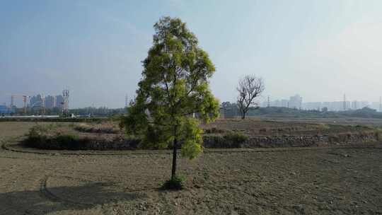 城市发展与耕地