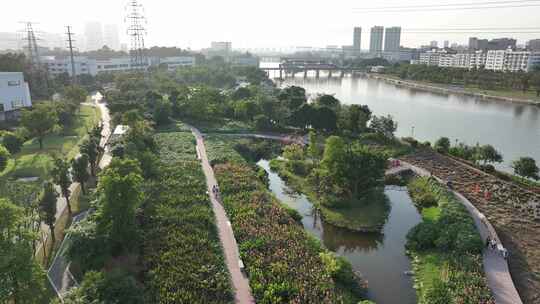 深圳燕罗湿地公园航拍视频素材模板下载