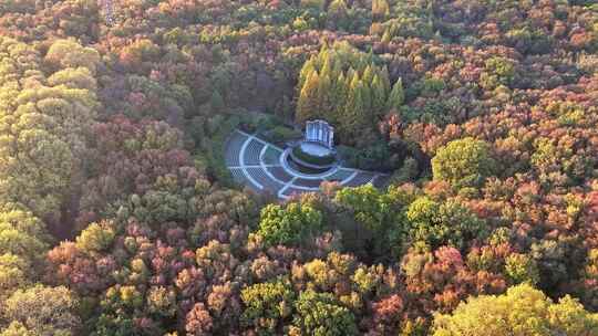 南京秋天 音乐台 中山陵风景区