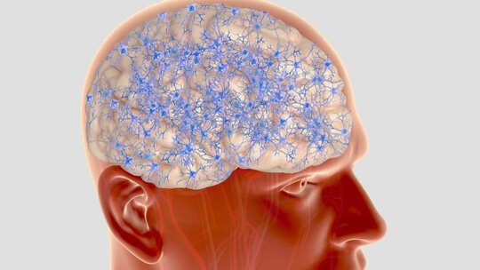脑血栓 脑神经  大脑神经 脑细胞大脑视频素材模板下载