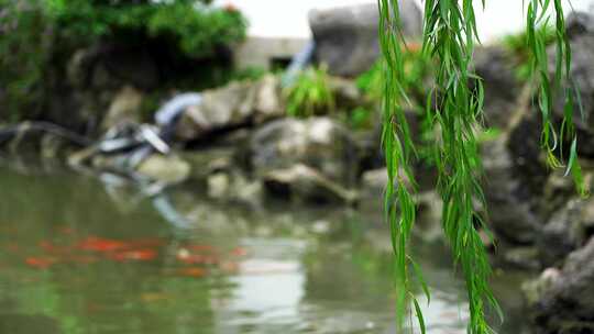 古典园林南京夫子庙瞻园中式园林庭院的风光