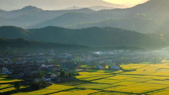 油菜花海里村落民居炊烟升起