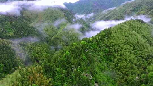 实拍雨后森林云雾缭绕 绿水青山 高山云海