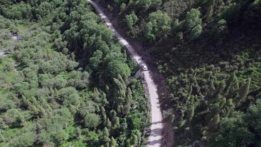 山路林间行车