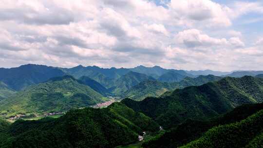 航拍江南浙江山区竹林竹海竹山