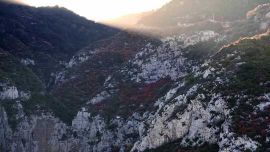 秋日红叶森林航拍满山红叶