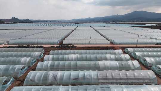 航拍农业大棚基地