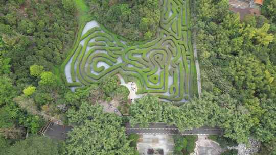 航拍东莞大屏障森林公园的植物迷宫